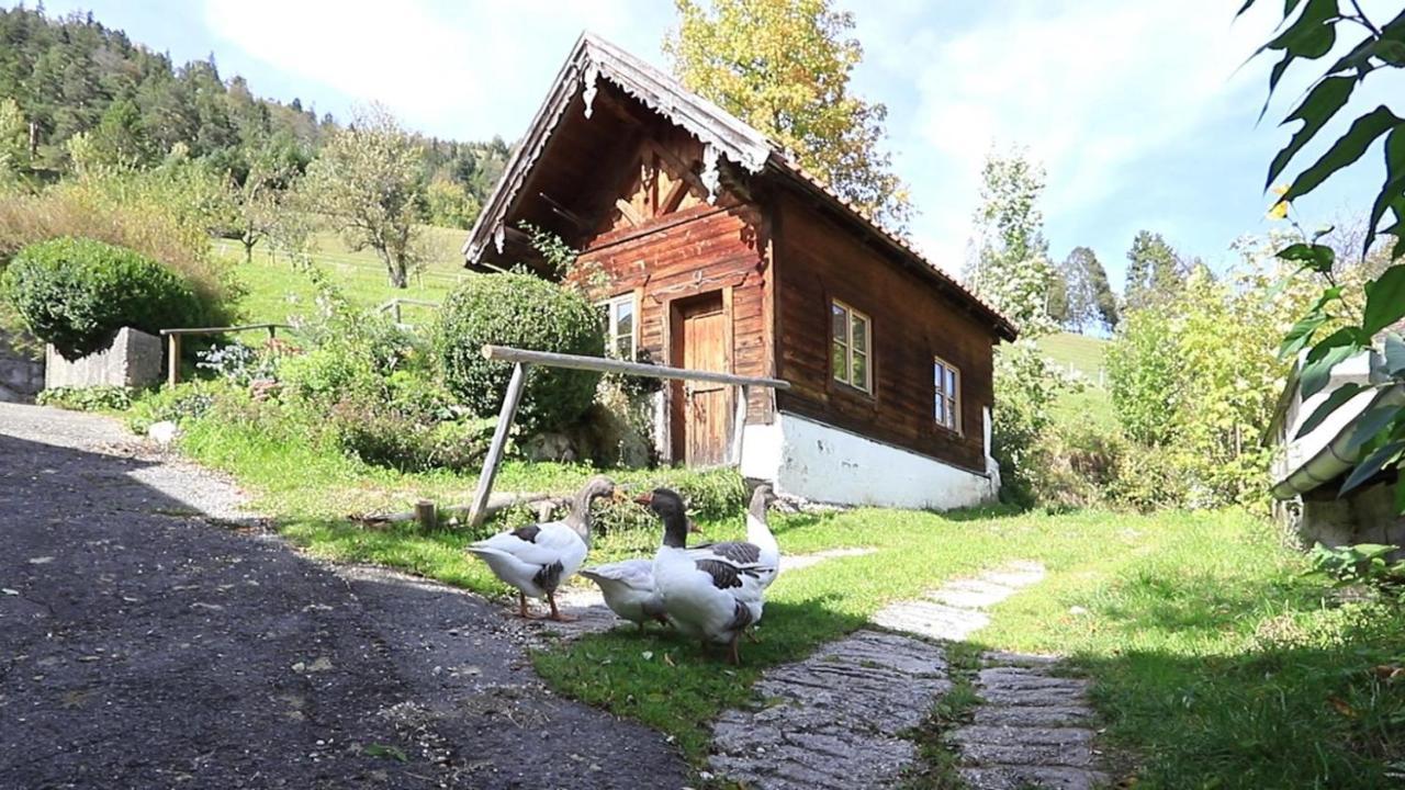 Appartamento Haus Holler Wallgau Esterno foto